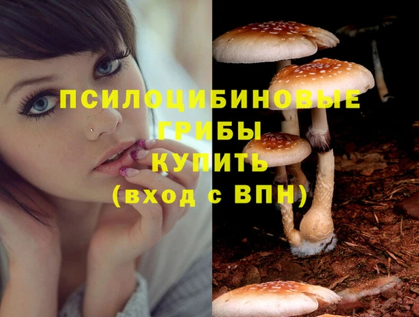 ешки Абдулино