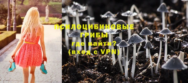 прущая мука Остров