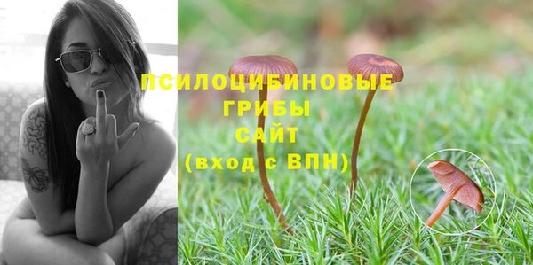 ешки Абдулино